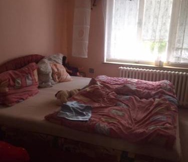 Dolni Bukovsko Apartment | Apartmán