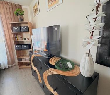 Kosice Old Town Apartment | Apartmán Fatranská,Parking Free ,Air Condition