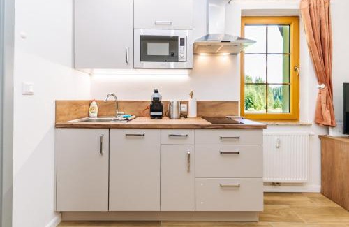 Horni Blatna Apartment | Apartmán Hugo Blatná