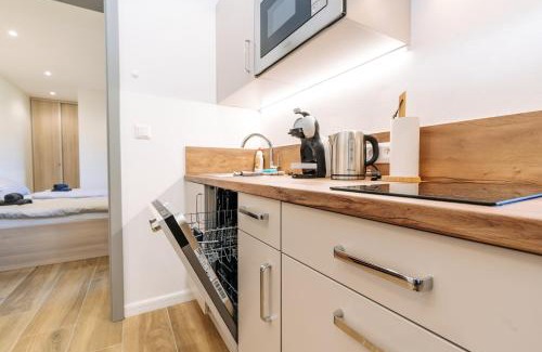 Horni Blatna Apartment | Apartmán Hugo Blatná