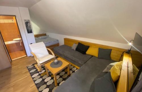 Letohrad Apartment | Apartmán Ivko