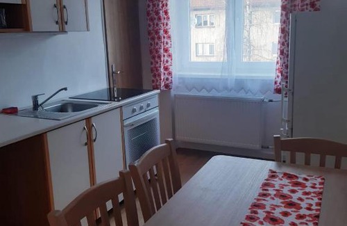 Nove Mesto na Morave Apartment | Apartmán Mírová