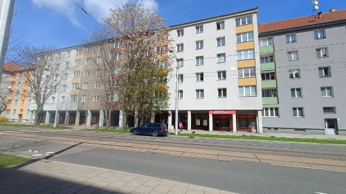 Olomouc Apartment | Apartmán M55