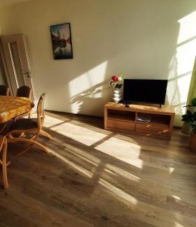 Ricky v Orlickych horach Apartment | Apartmán PERLA 28, Říčky