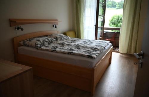 Ricky v Orlickych horach Apartment | Apartmán PERLA 28, Říčky