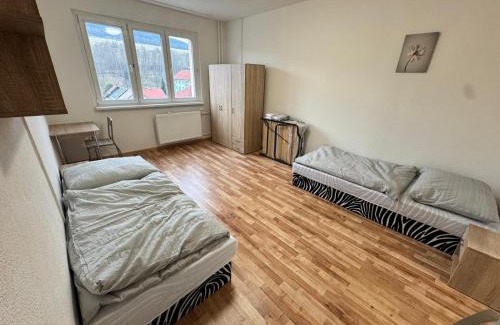 Kraslice Apartment | Apartmán pro 4 osoby, Kraslice
