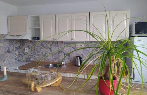 Protivin Apartment | Apartmán se zahradou v Protivíně