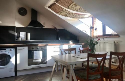 Brno Apartment | Apartmán Slovinská 28