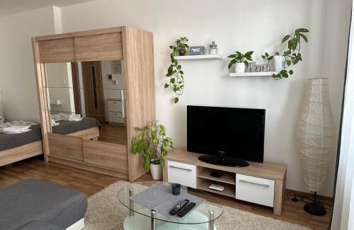 Presov Apartment | Apartmán Torysa