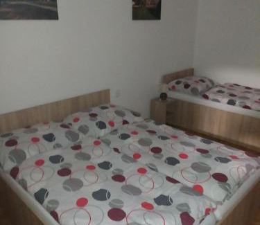 Hlohovec Apartment | Apartmán u Davida