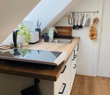 Zablati Apartment | Apartmán U Hvězdáře