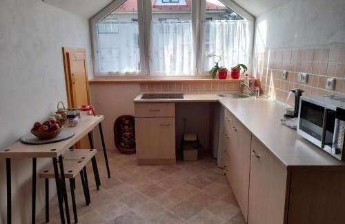 Nove Mesto na Morave Apartment | Apartmán u potoka