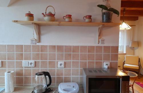 Nove Mesto na Morave Apartment | Apartmán u potoka