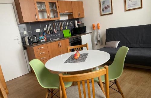 Jablonec nad Nisou Apartment | Apartmán v Lesní