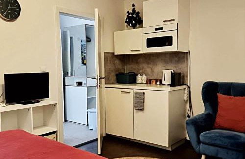 Pisek Apartment | Apartmán Zlatý kříž