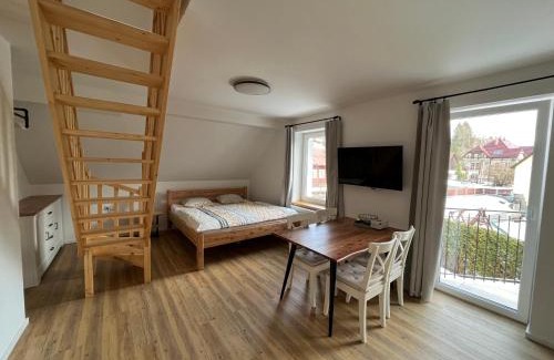 Josefov Dul Apartment | Apartmány Josefáč se saunou
