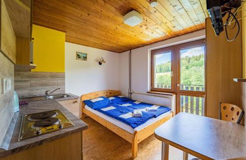 Dolni Morava Apartment | Apartmány U Žaloudků