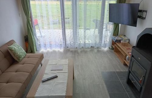 Karlovy Dvory Apartment | Apartmány u Olšinské kapličky