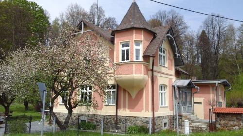 Lipova-Lazne Apartment | Apartmány Villa Magnolie