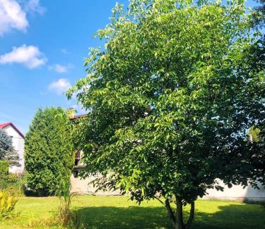 Hamry nad Sazavou Apartment | Apartmány Zelená Hora s velkou zahradou