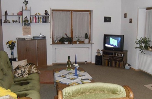 Gleiszellen-Gleishorbach Apartment | Apartment Haus Maggie - 5-bed apartment 60m²