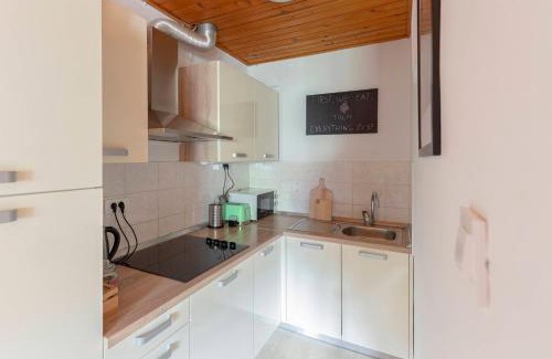 Kranjska Gora Apartment | Apartma Alpine Space, Kranjska Gora - Center