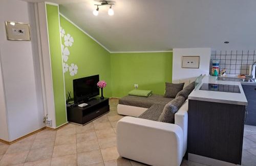 Ciginj Apartment | Apartma Aneja