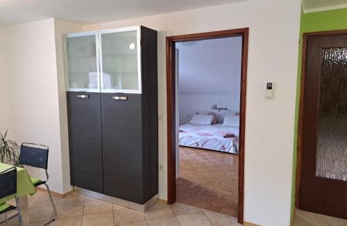 Ciginj Apartment | Apartma Aneja