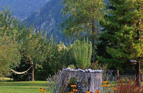 Gozd Martuljek House | Apartma čebela with Julian Alps view in the heart of nature.