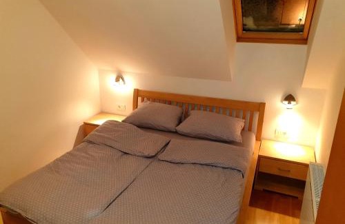 Zrece Apartment | Apartma DA-LI SPORTS -ROGLA