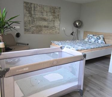 Ljubljana Apartment | Apartma dolgi most