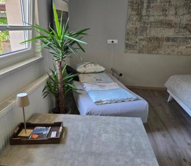 Ljubljana Apartment | Apartma dolgi most