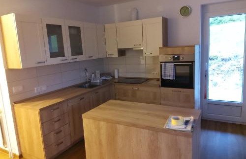 Gorje Apartment | Apartma Dominik