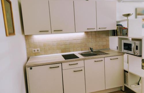 Moravske Toplice Apartment | Apartma MAX