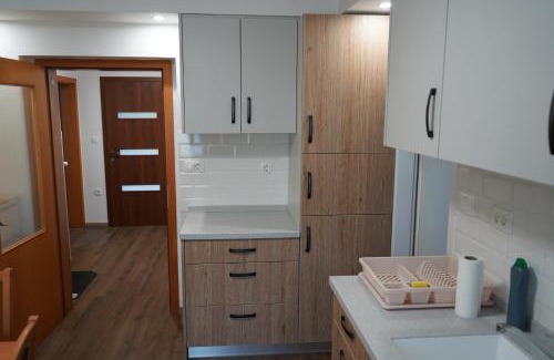 Mojstrana Apartment | Apartma Mlinca