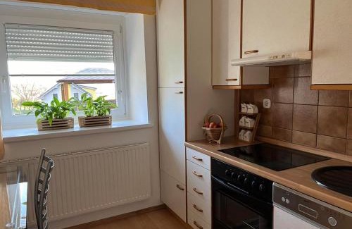 Kamnica Apartment | Apartma Movrin