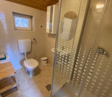 Slovenj Gradec Apartment | Apartma Regina
