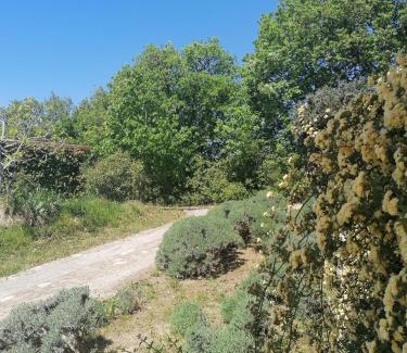 Piran Apartment | Apartma Villa Cedole Chabby Chick