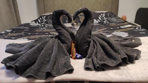 Moravske Toplice Apartment | Apartmaji Irma