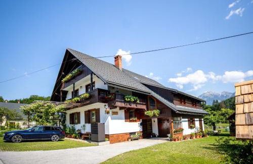 Ribcev Laz Apartment | Apartmaji Preželj