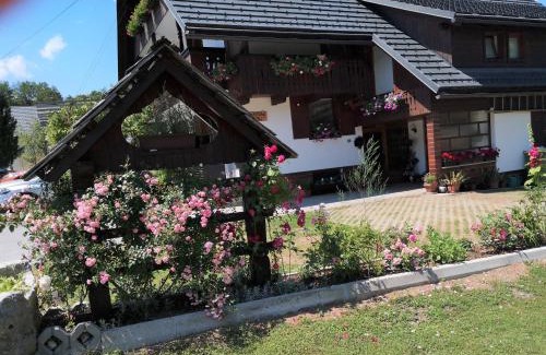 Ribcev Laz Apartment | Apartmaji Preželj