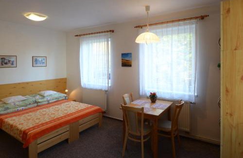 Janske Lazne Apartment | Apartman 300