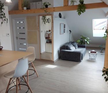Lipany Apartment | Apartman Barbara