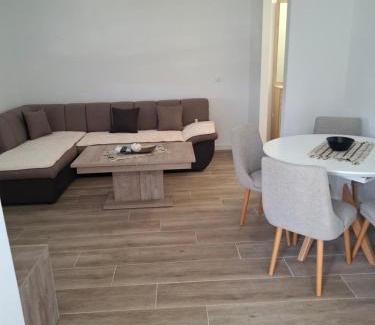 Radanovici Apartment | Apartman Djukic