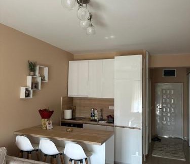 Bjelisi Apartment | Apartman DVA SRCA