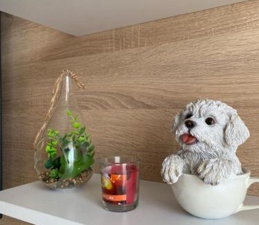 Bjelisi Apartment | Apartman DVA SRCA