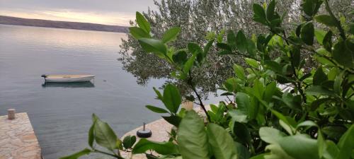Baric Draga Apartment | Apartman JURJEVIĆ