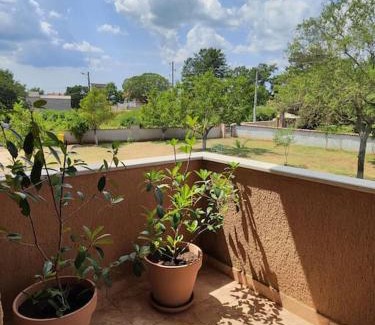 Sajini Apartment | Apartman Luna