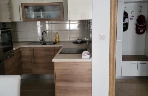 Canton 10 Apartment | Apartman Pati