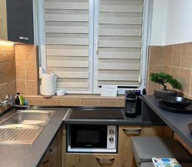 Banovo brdo Apartment | Apartman Premijer 1